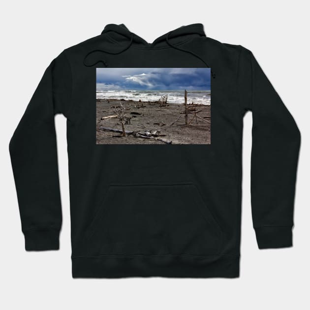 Hokitika Beach 1 Hoodie by charlesk